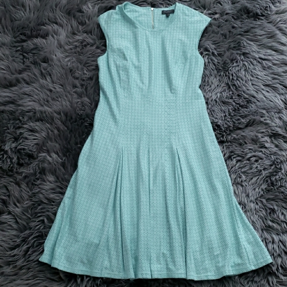 NWOT The Limited Sueded Fit and Flare Dress